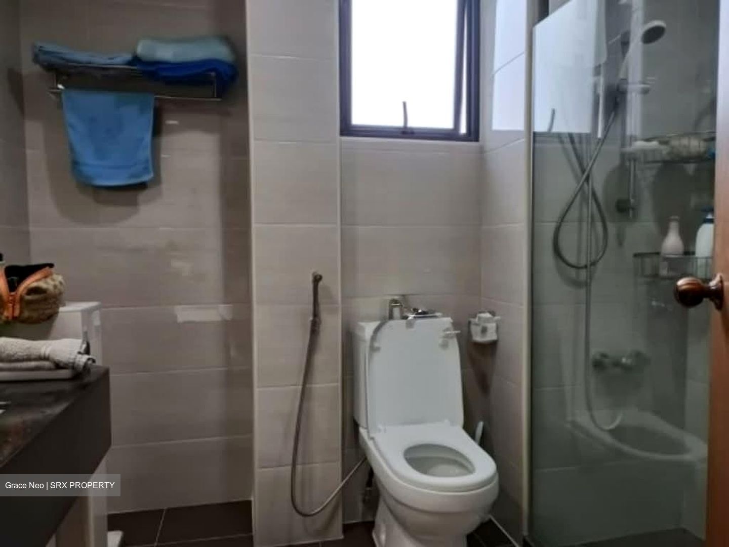 Carissa Park Condominium (D17), Condominium #566438681